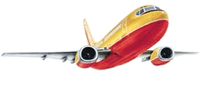 Visit the Southwest Airlines home page
